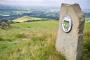 Brass in the Hills (Teggs Nose)